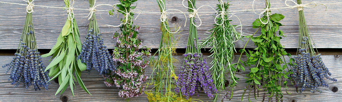 Earth Day Sale Starts April 19